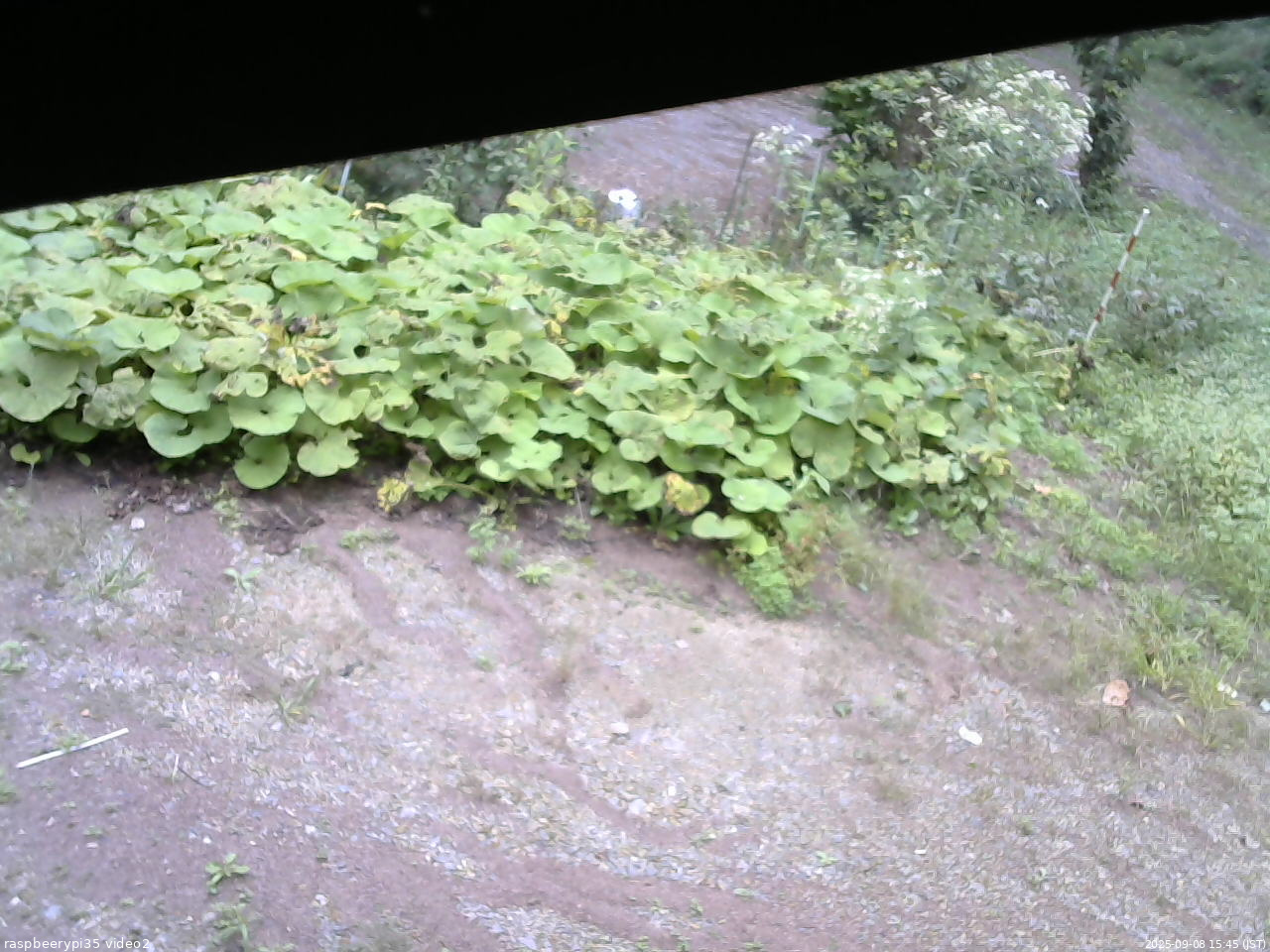 長野県菅平高原 ゆたか山荘 駐車場 2025/09/08 15:45