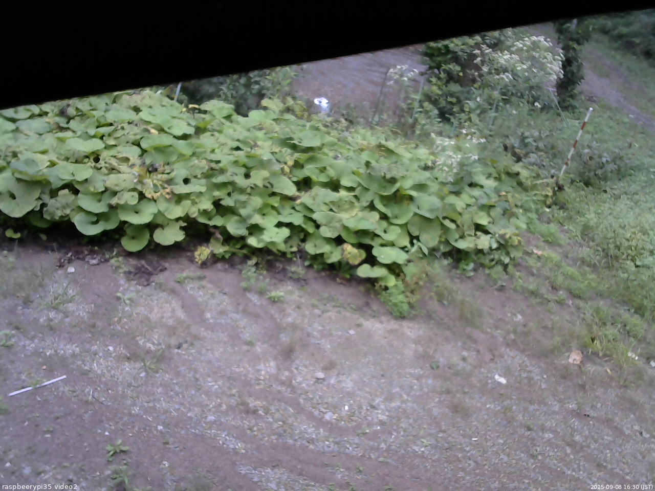 長野県菅平高原 ゆたか山荘 駐車場 2025/09/08 16:30