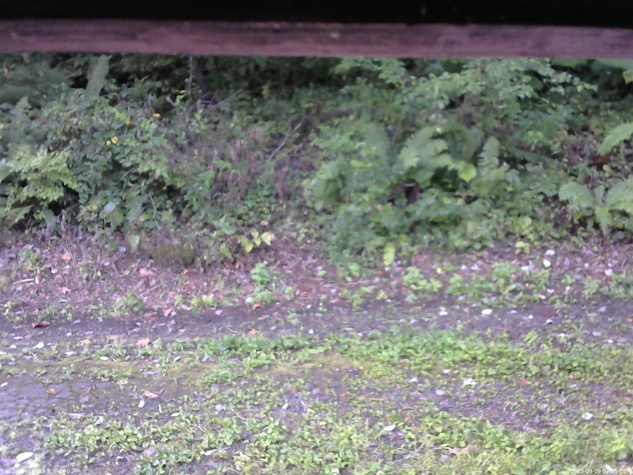 長野県菅平高原 ゆたか山荘 南側 2025/09/09 07:15