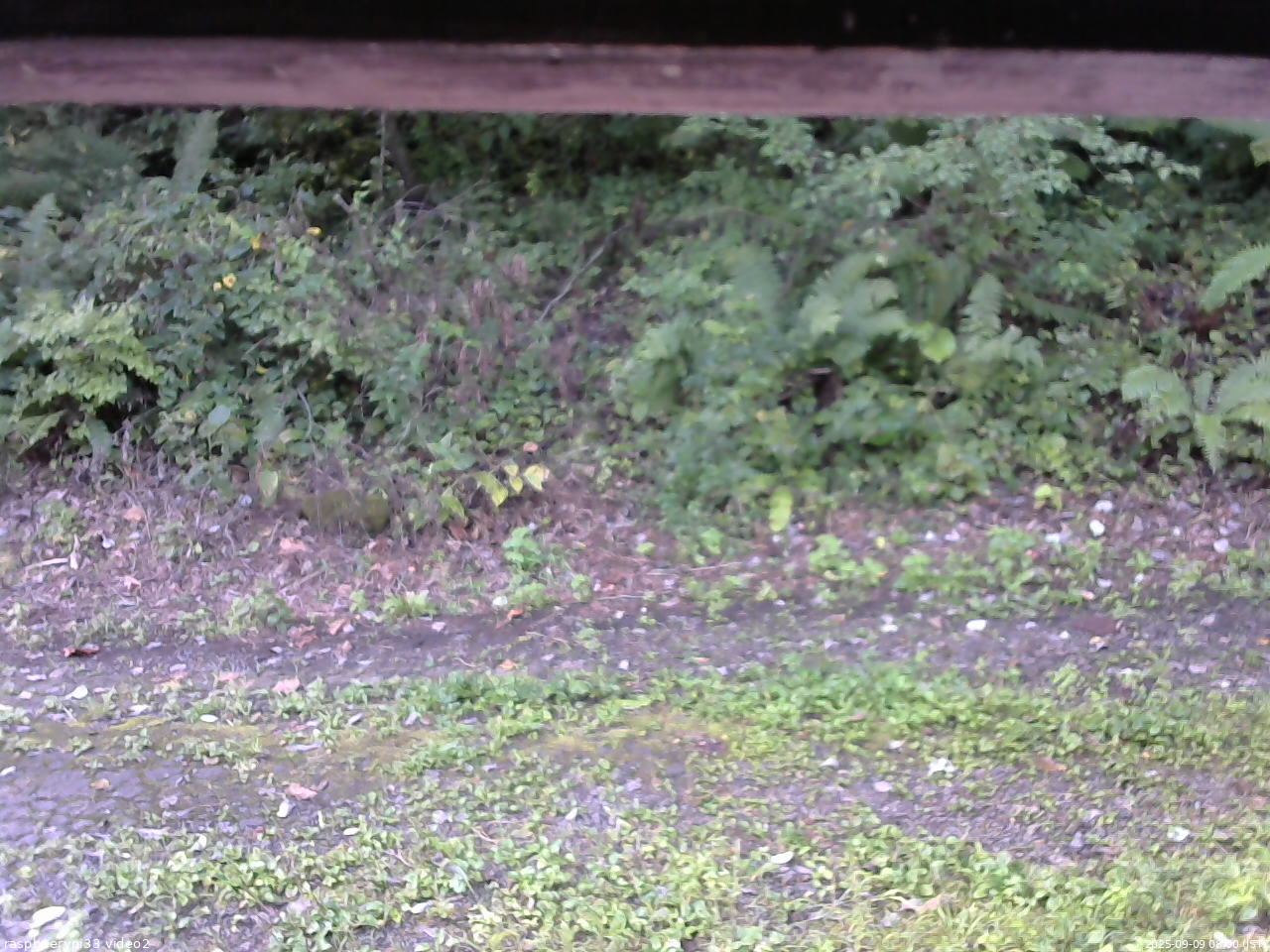長野県菅平高原 ゆたか山荘 南側 2025/09/09 08:00