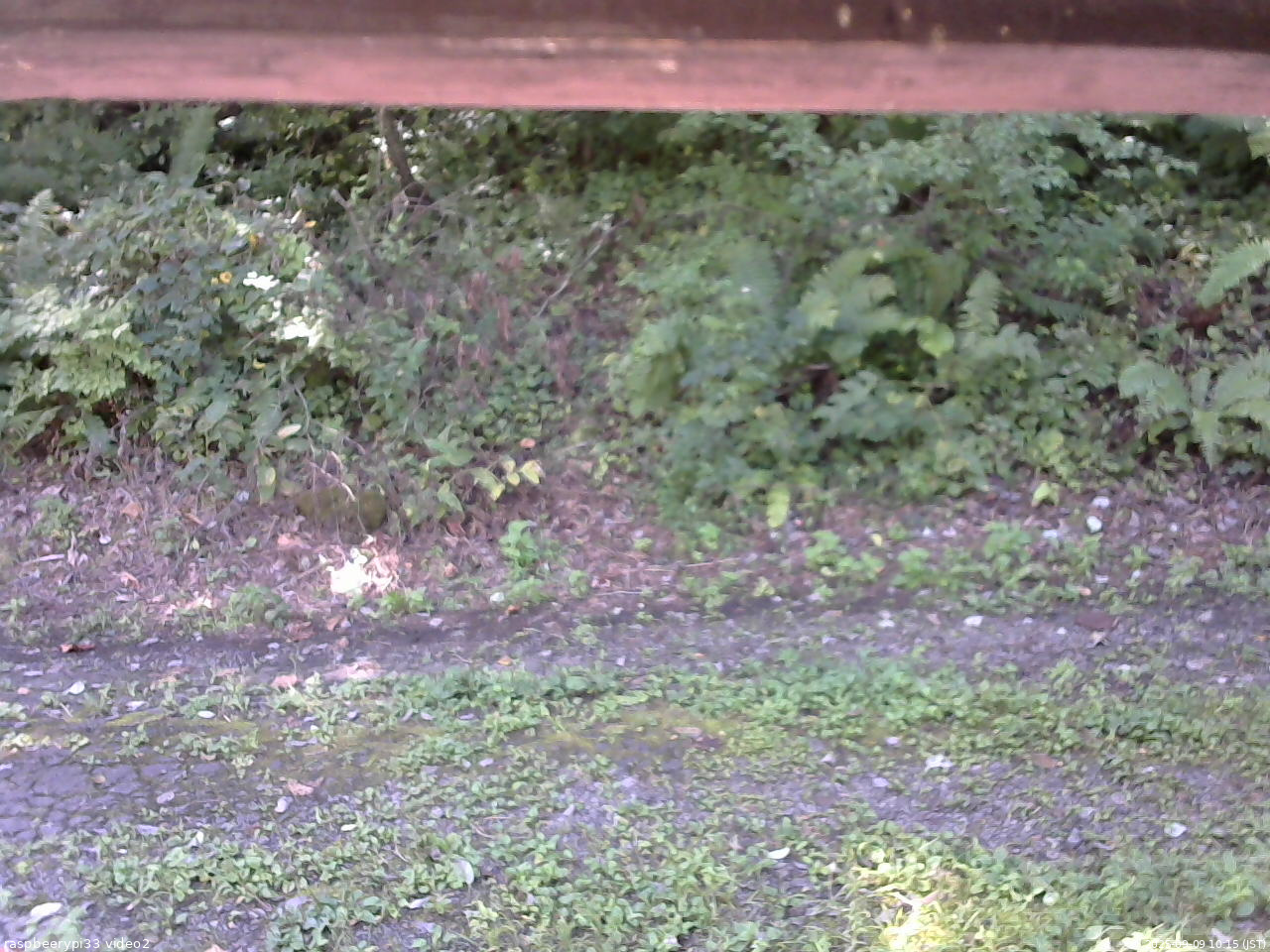 長野県菅平高原 ゆたか山荘 南側 2025/09/09 10:15