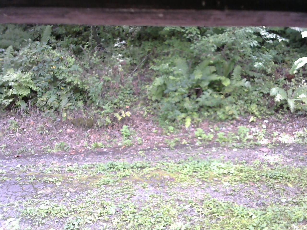 長野県菅平高原 ゆたか山荘 南側 2025/09/09 12:00