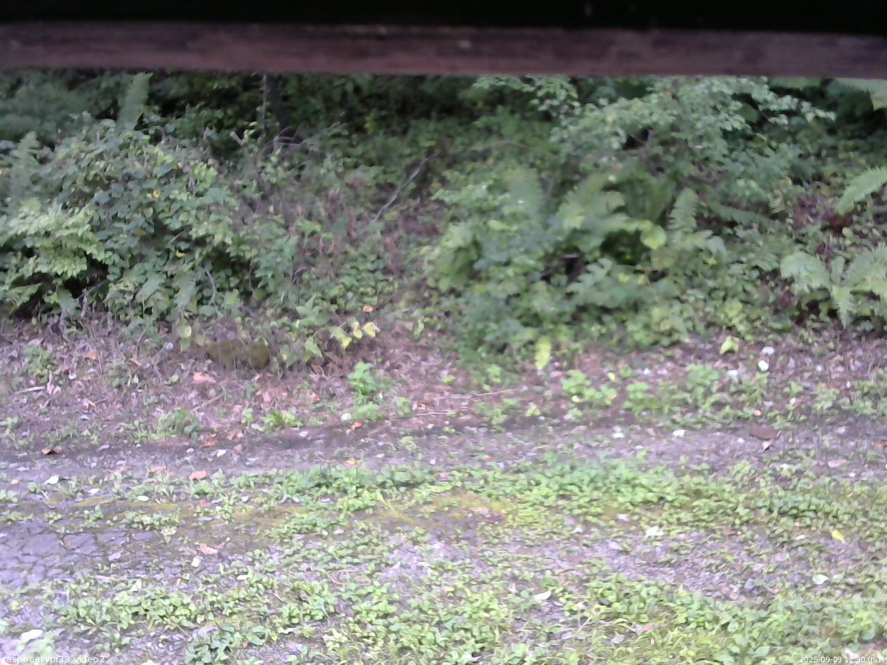 長野県菅平高原 ゆたか山荘 南側 2025/09/09 12:30