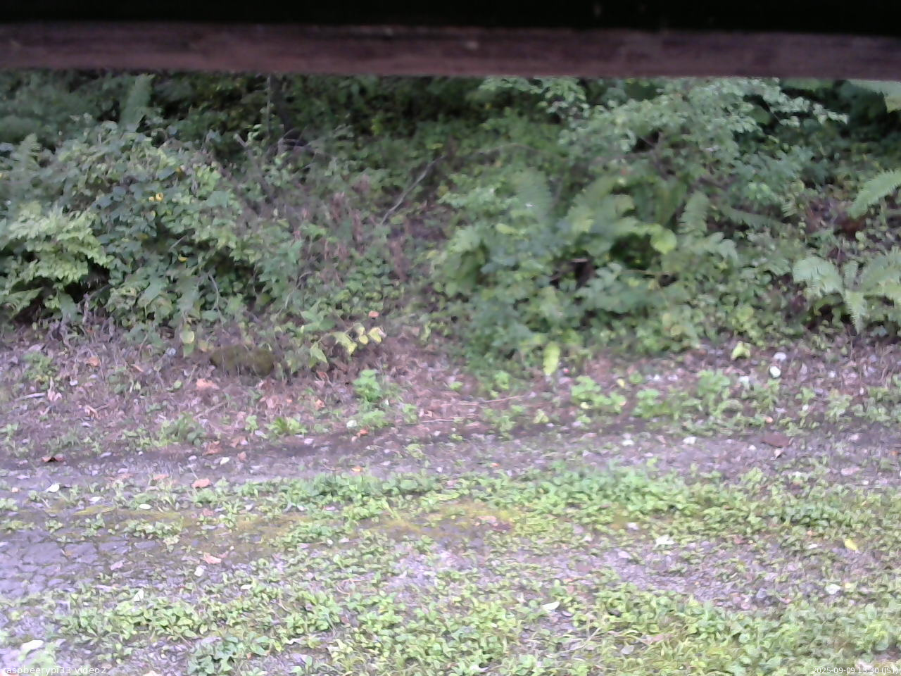 長野県菅平高原 ゆたか山荘 南側 2025/09/09 13:30