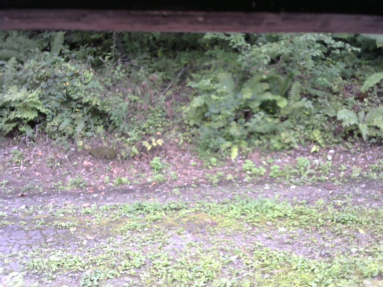 長野県菅平高原 ゆたか山荘 南側 2025/09/09 14:15