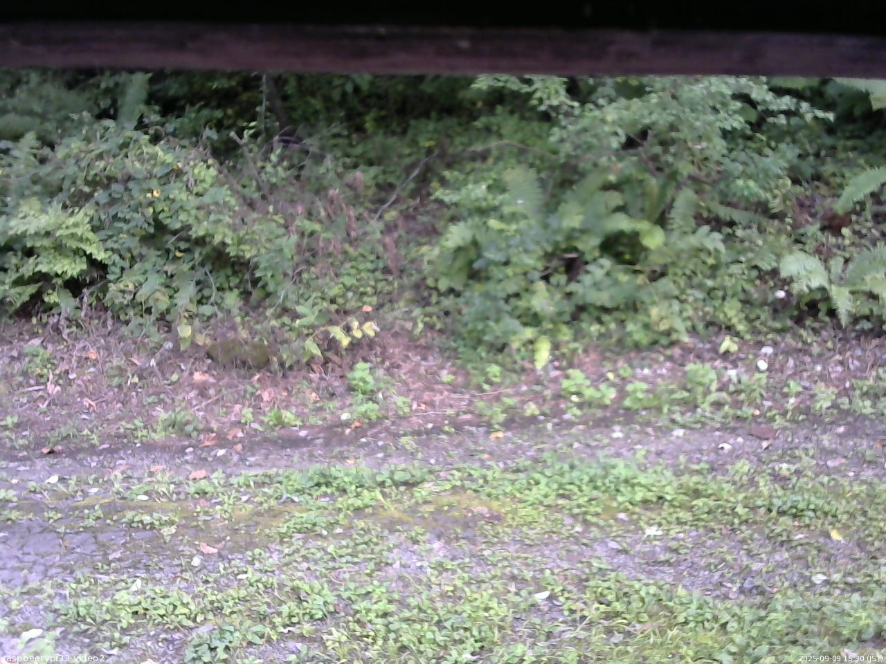 長野県菅平高原 ゆたか山荘 南側 2025/09/09 15:30
