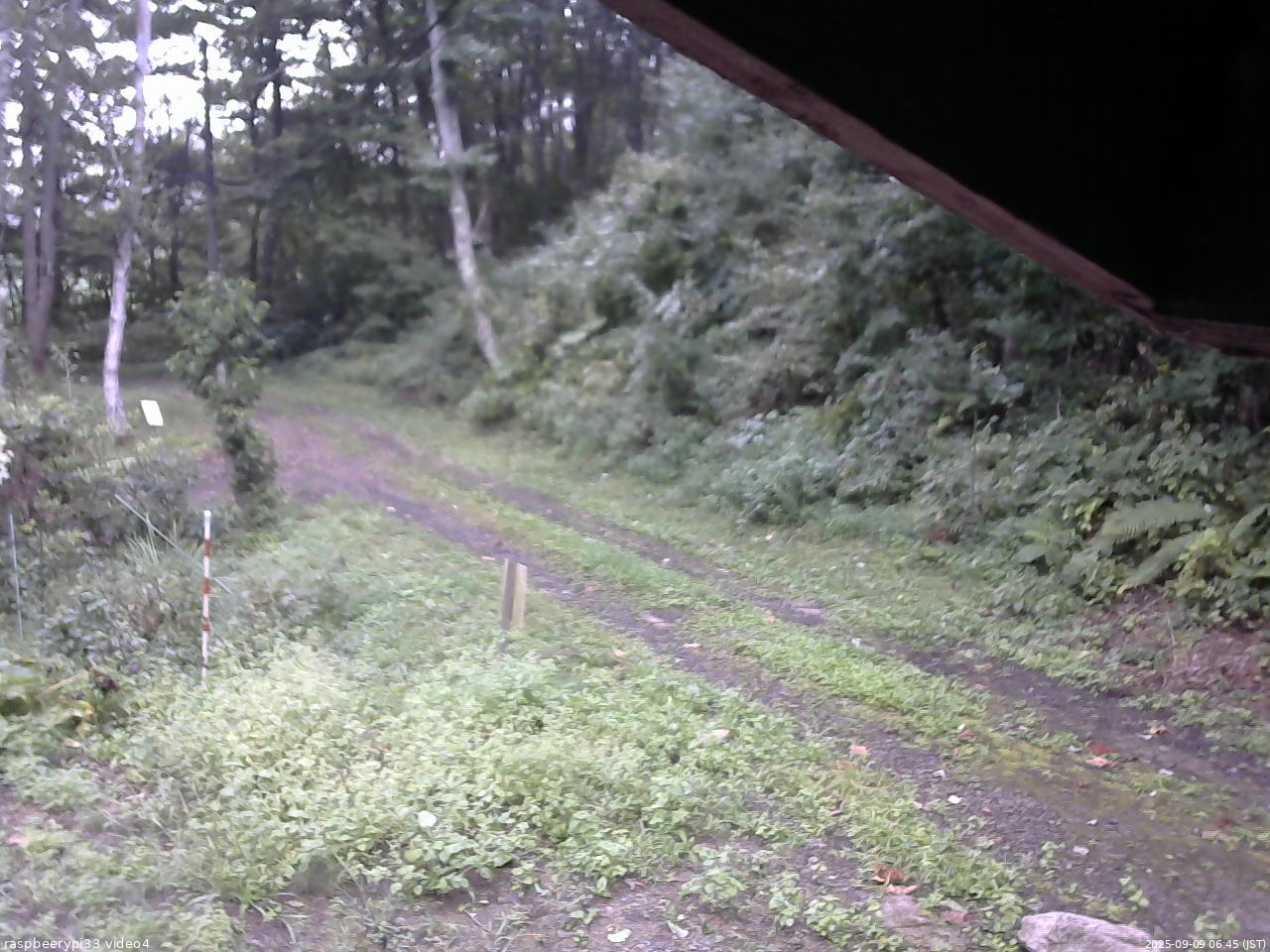 長野県菅平高原 ゆたか山荘 東側(坂下) 2025/09/09 06:45