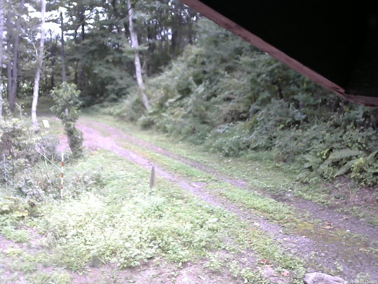 長野県菅平高原 ゆたか山荘 東側(坂下) 2025/09/09 13:15