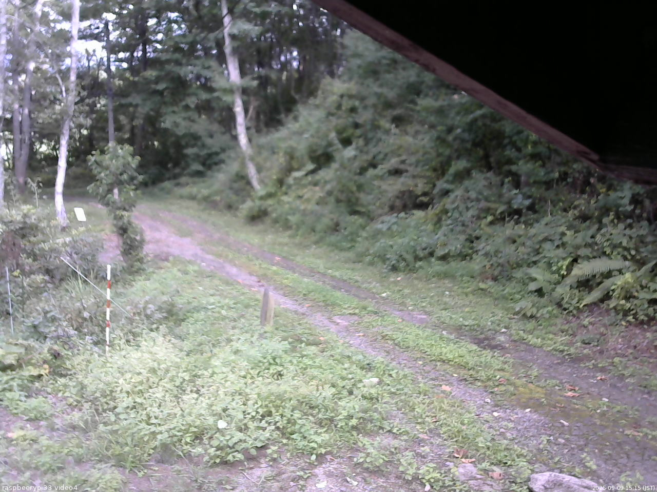 長野県菅平高原 ゆたか山荘 東側(坂下) 2025/09/09 15:15