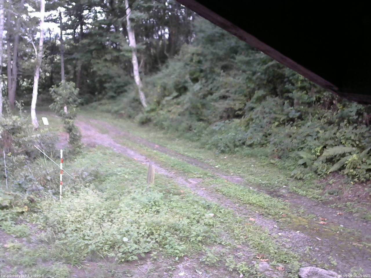 長野県菅平高原 ゆたか山荘 東側(坂下) 2025/09/09 16:15
