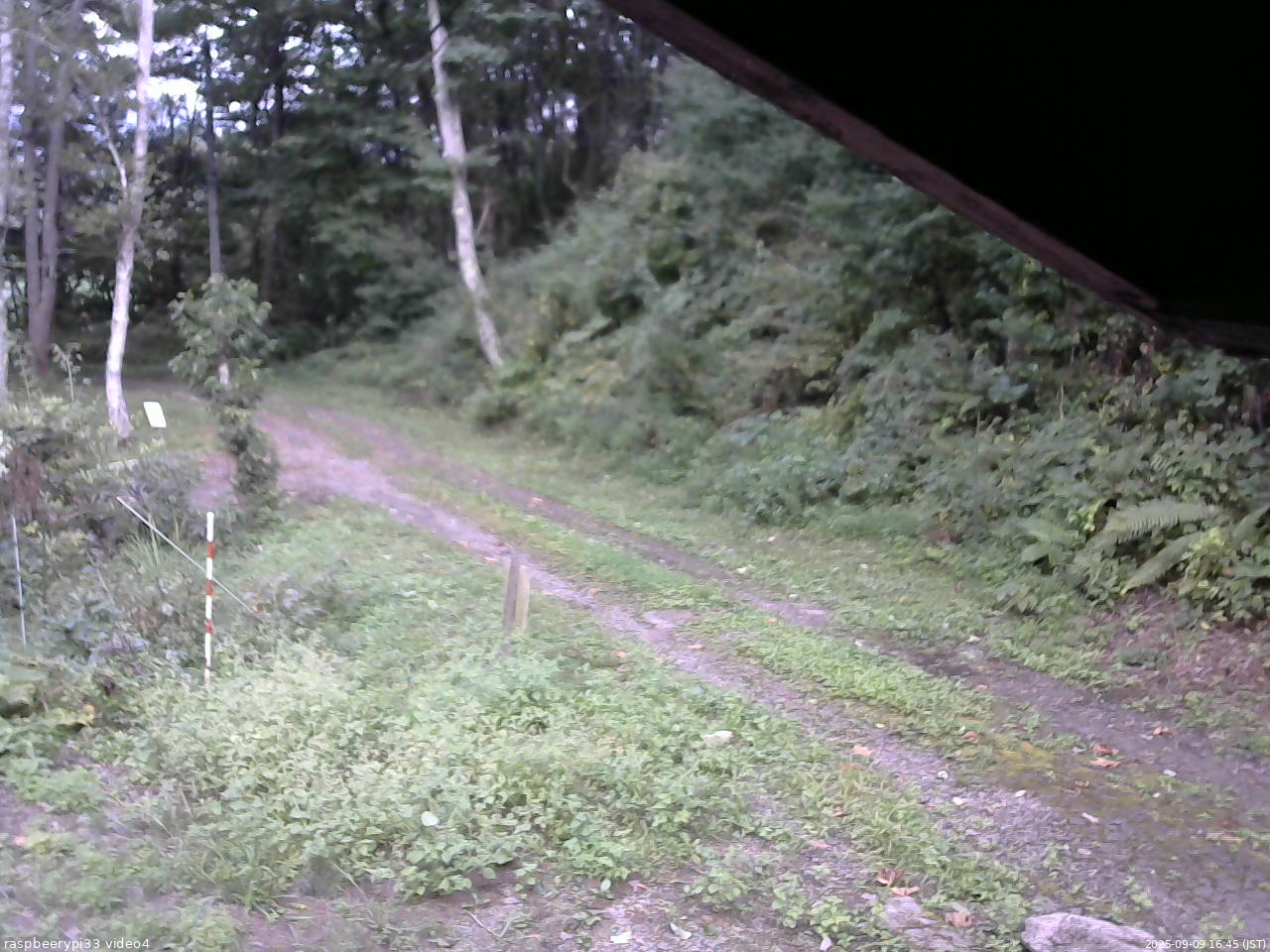 長野県菅平高原 ゆたか山荘 東側(坂下) 2025/09/09 16:45