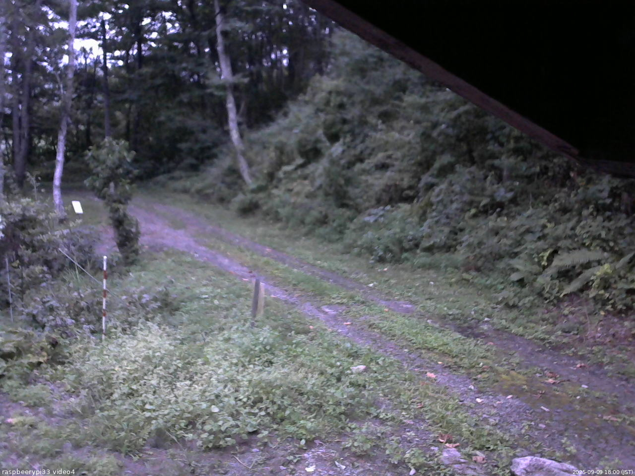 長野県菅平高原 ゆたか山荘 東側(坂下) 2025/09/09 18:00