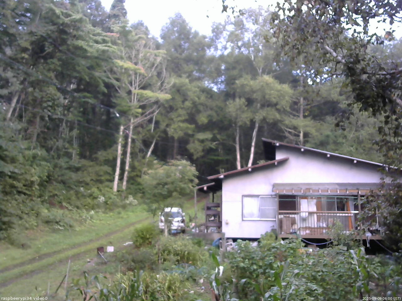 長野県菅平高原 ゆたか山荘 西側(坂上) 2025/09/09 06:00
