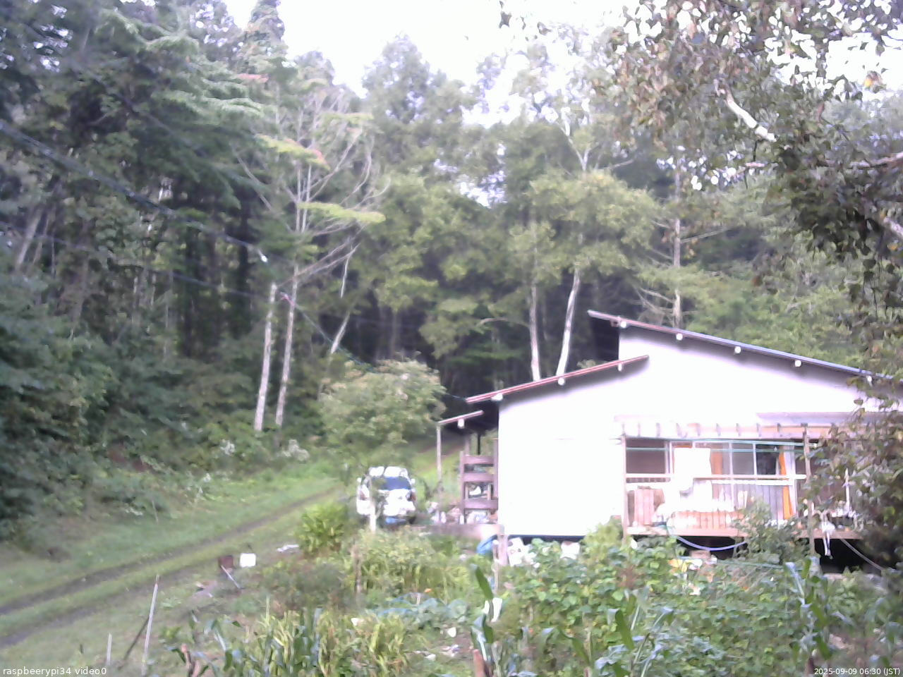 長野県菅平高原 ゆたか山荘 西側(坂上) 2025/09/09 06:30
