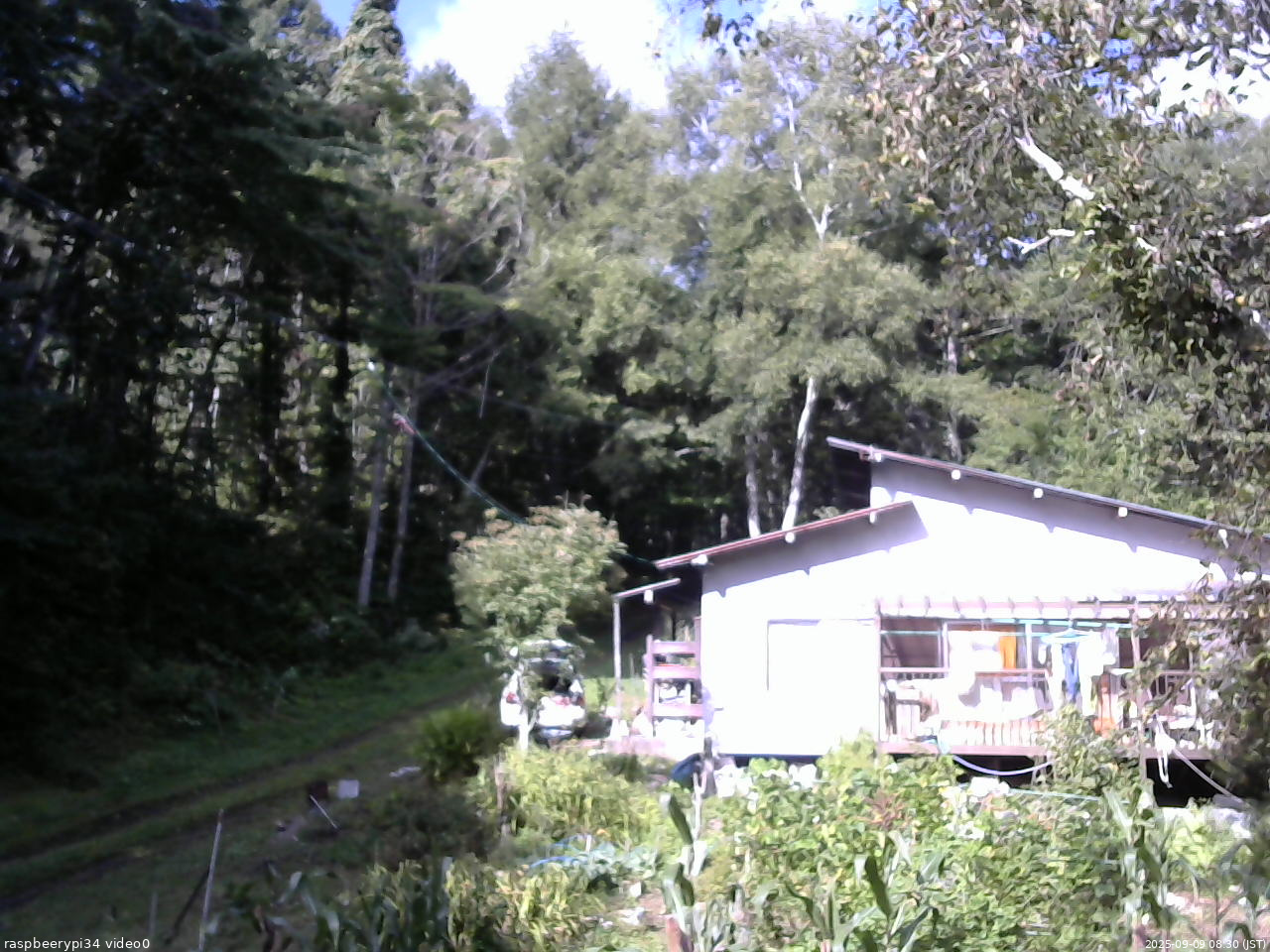 長野県菅平高原 ゆたか山荘 西側(坂上) 2025/09/09 08:30