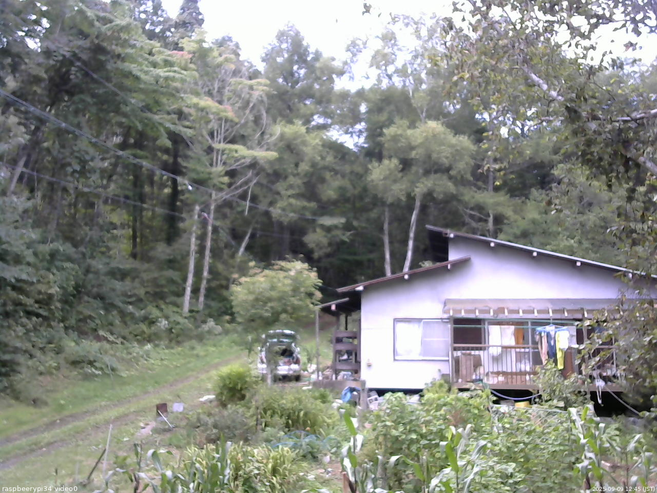 長野県菅平高原 ゆたか山荘 西側(坂上) 2025/09/09 12:45