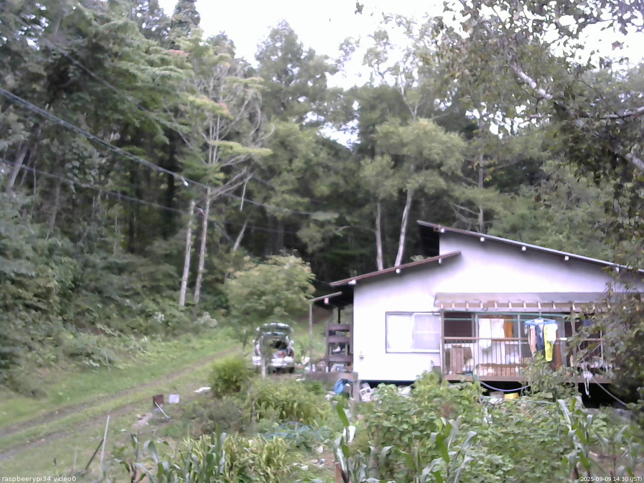 長野県菅平高原 ゆたか山荘 西側(坂上) 2025/09/09 14:30