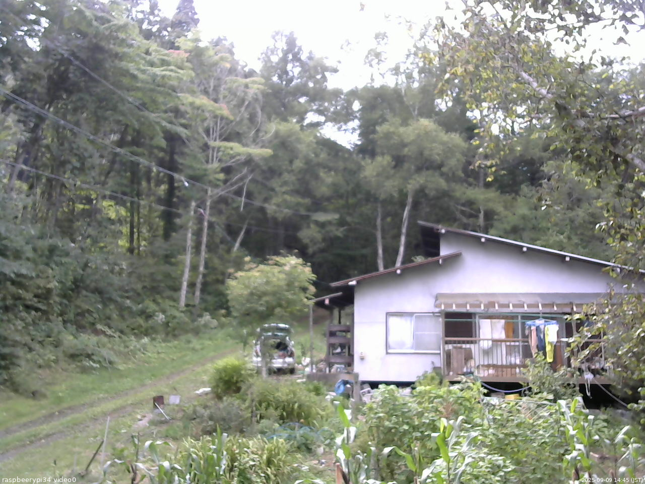 長野県菅平高原 ゆたか山荘 西側(坂上) 2025/09/09 14:45