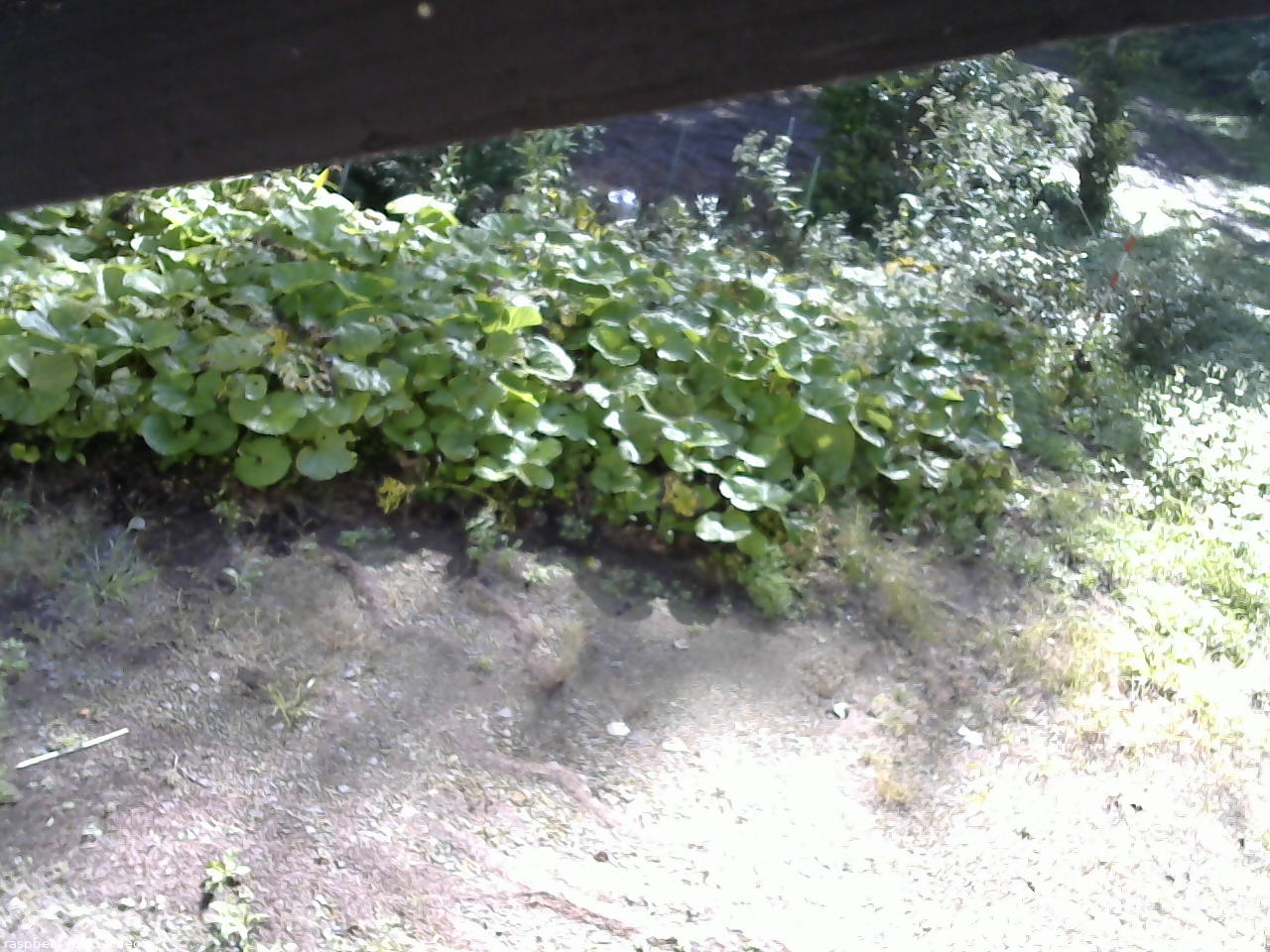 長野県菅平高原 ゆたか山荘 駐車場 2025/09/09 08:15