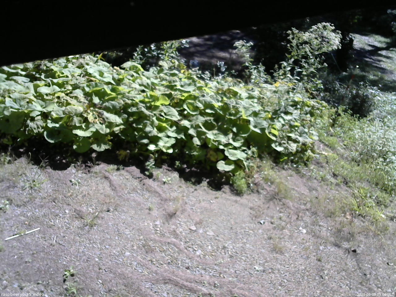 長野県菅平高原 ゆたか山荘 駐車場 2025/09/09 09:00