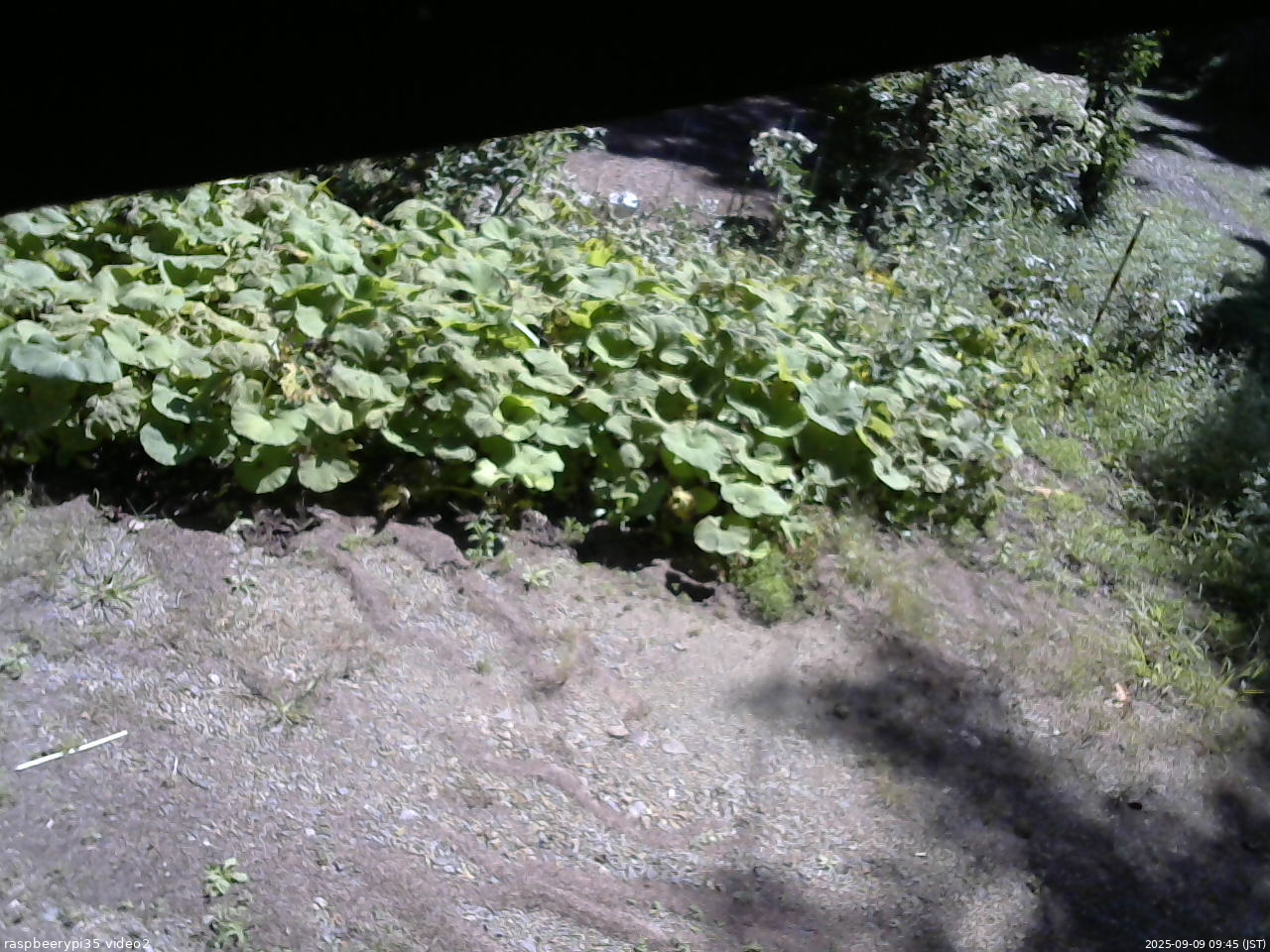 長野県菅平高原 ゆたか山荘 駐車場 2025/09/09 09:45