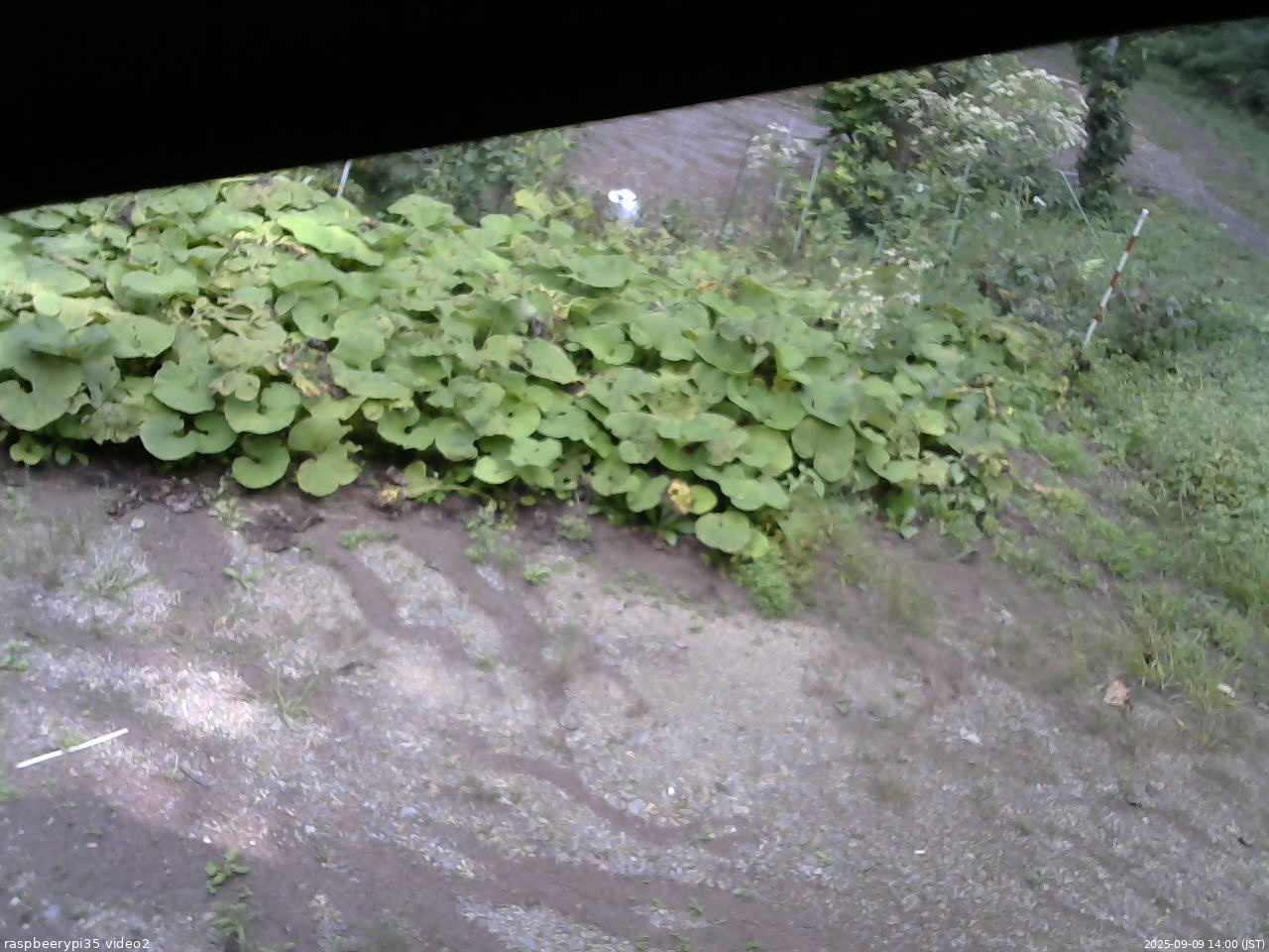 長野県菅平高原 ゆたか山荘 駐車場 2025/09/09 14:00