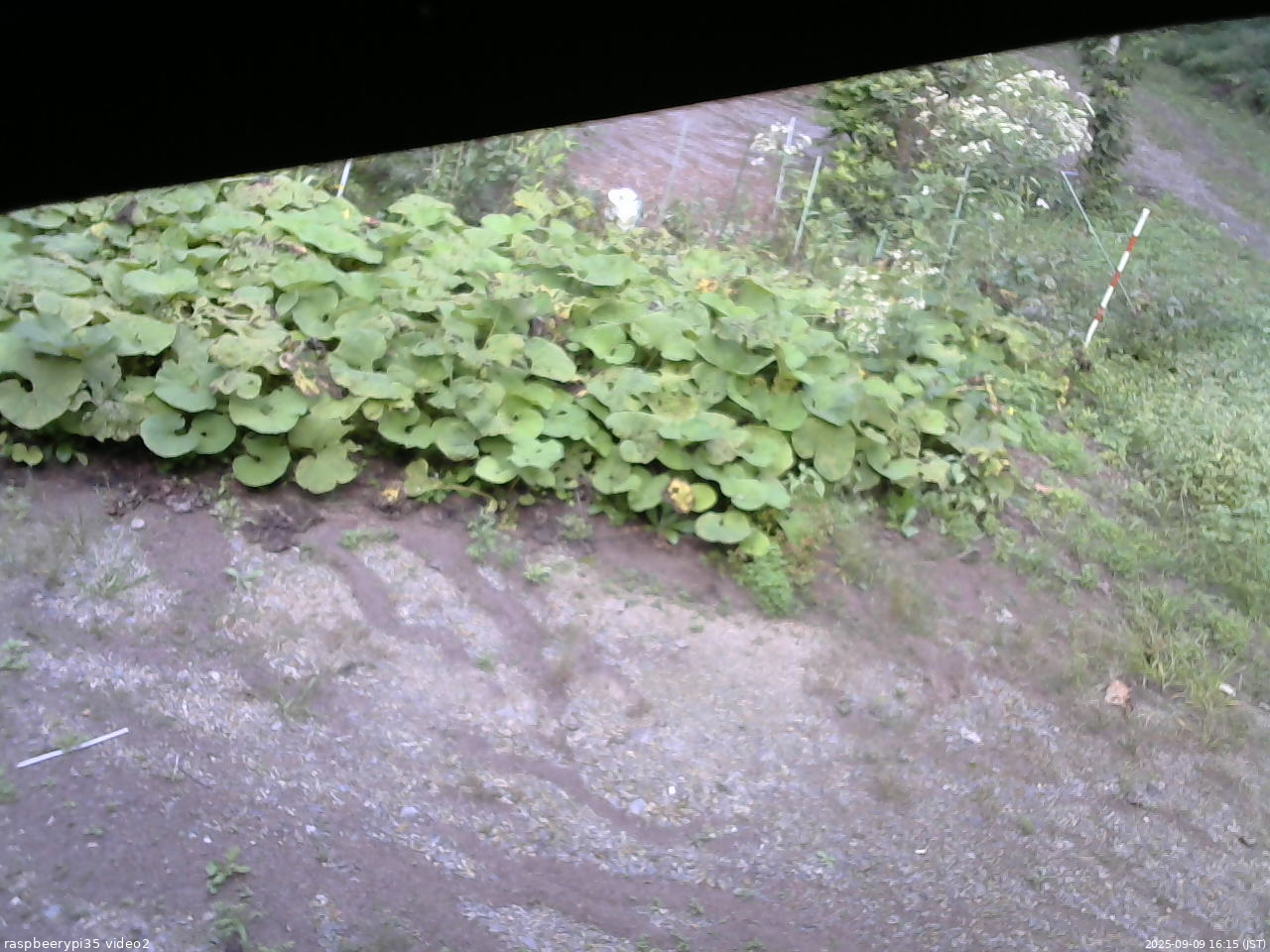 長野県菅平高原 ゆたか山荘 駐車場 2025/09/09 16:15