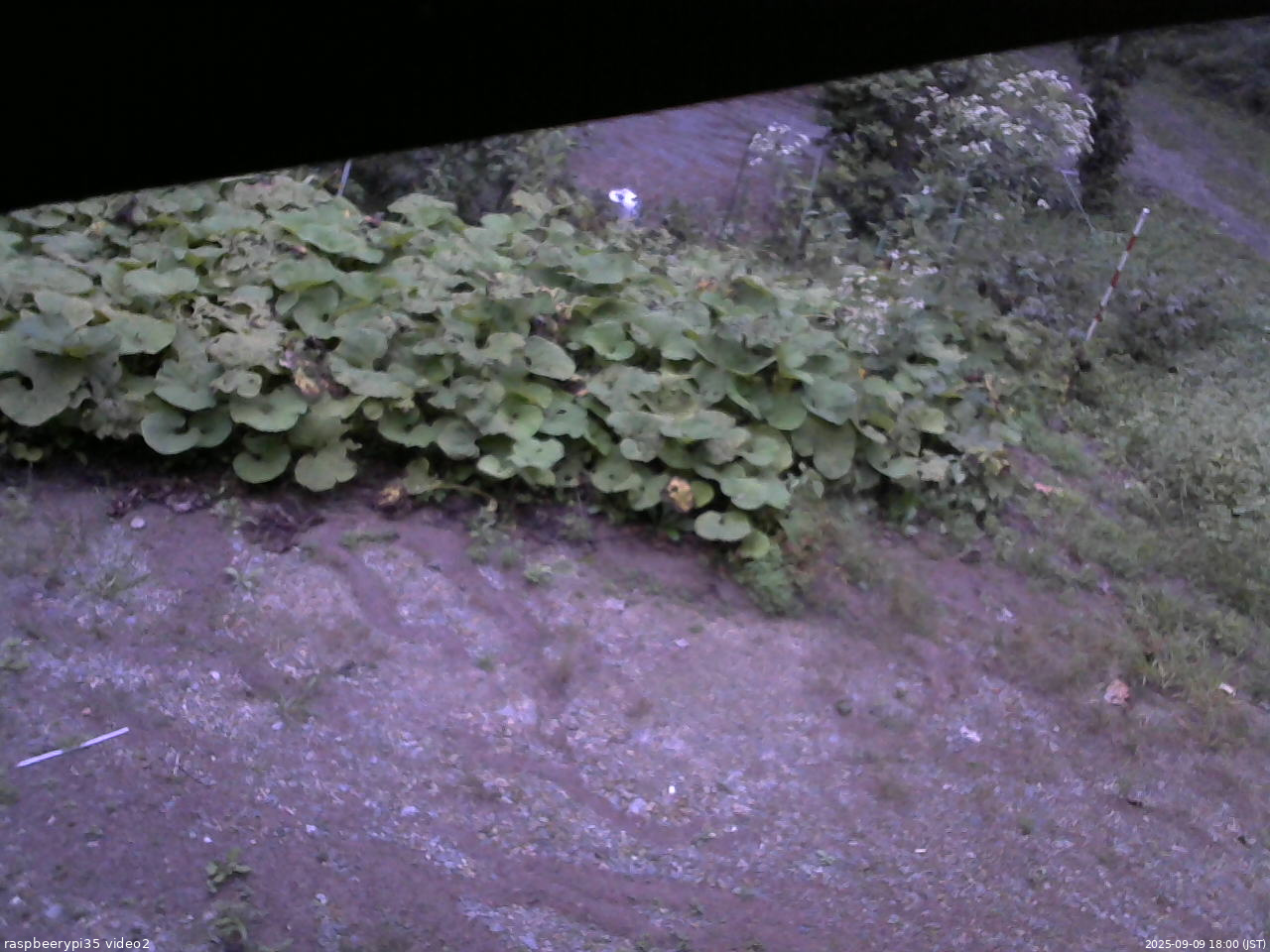 長野県菅平高原 ゆたか山荘 駐車場 2025/09/09 18:00