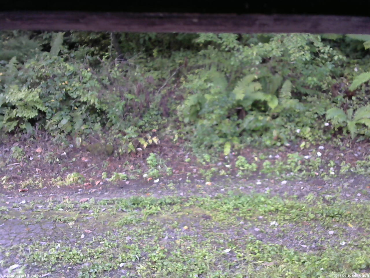 長野県菅平高原 ゆたか山荘 南側 2025/09/10 06:15