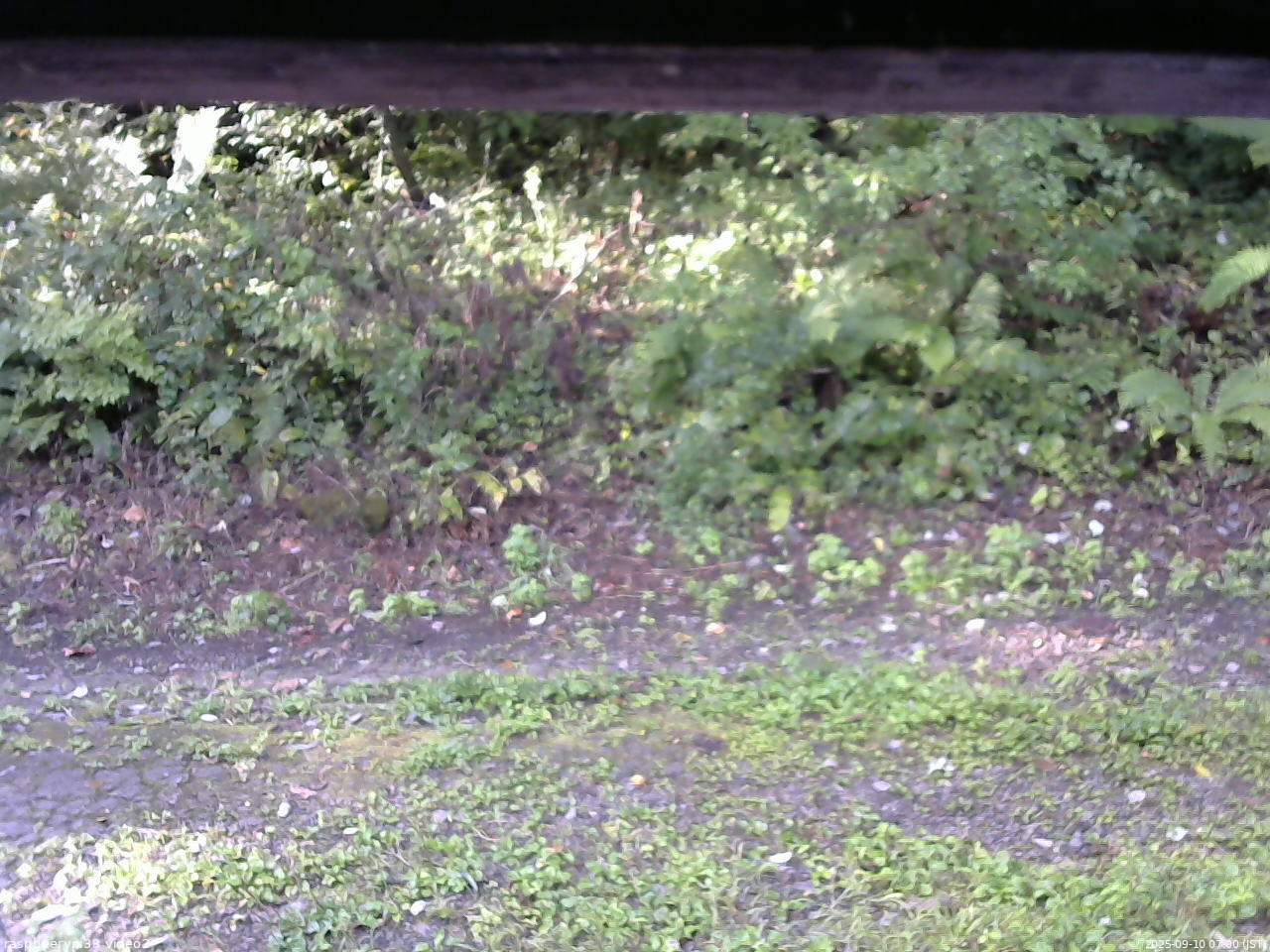 長野県菅平高原 ゆたか山荘 南側 2025/09/10 07:00