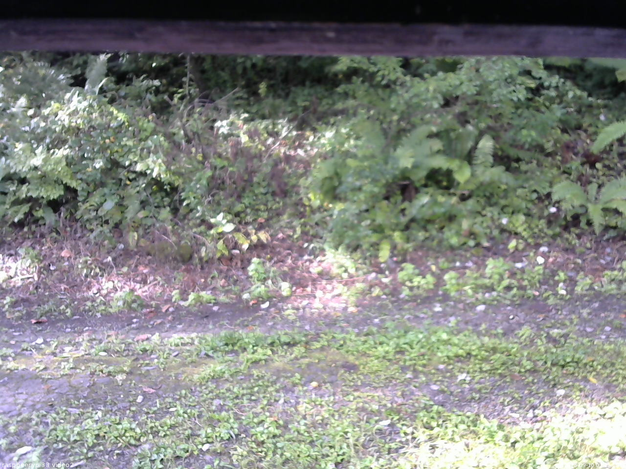 長野県菅平高原 ゆたか山荘 南側 2025/09/10 07:15