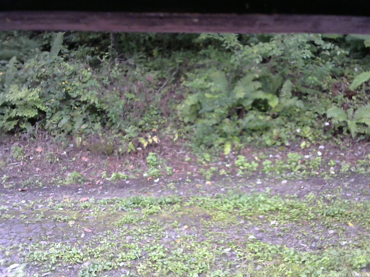 長野県菅平高原 ゆたか山荘 南側 2025/09/10 07:45