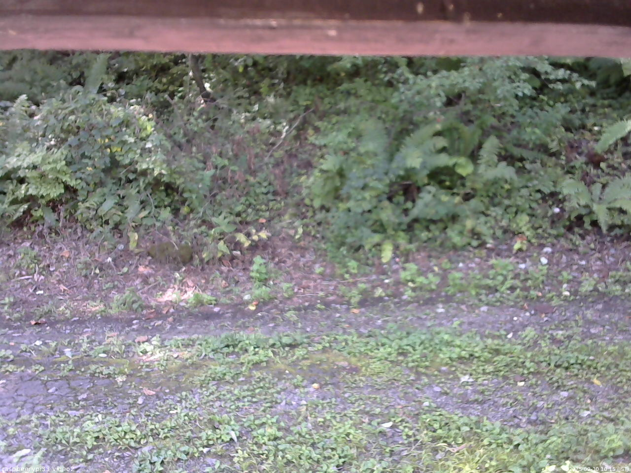長野県菅平高原 ゆたか山荘 南側 2025/09/10 10:15