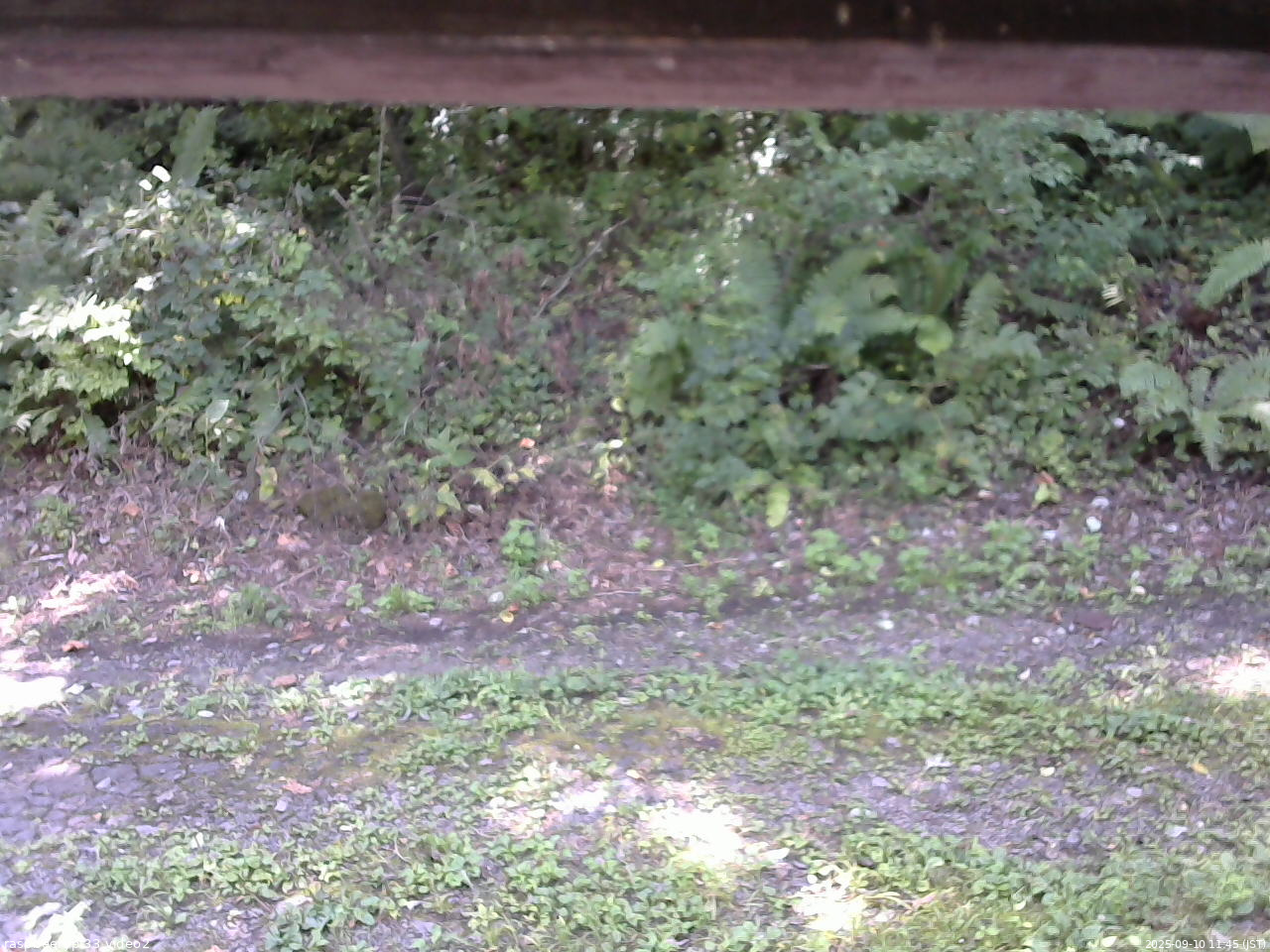 長野県菅平高原 ゆたか山荘 南側 2025/09/10 11:45
