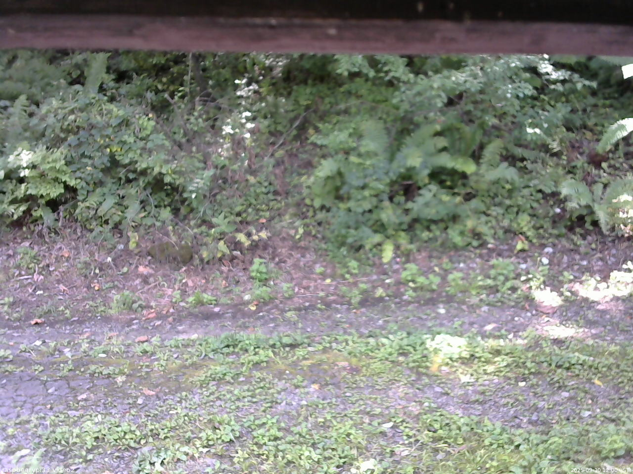 長野県菅平高原 ゆたか山荘 南側 2025/09/10 12:00