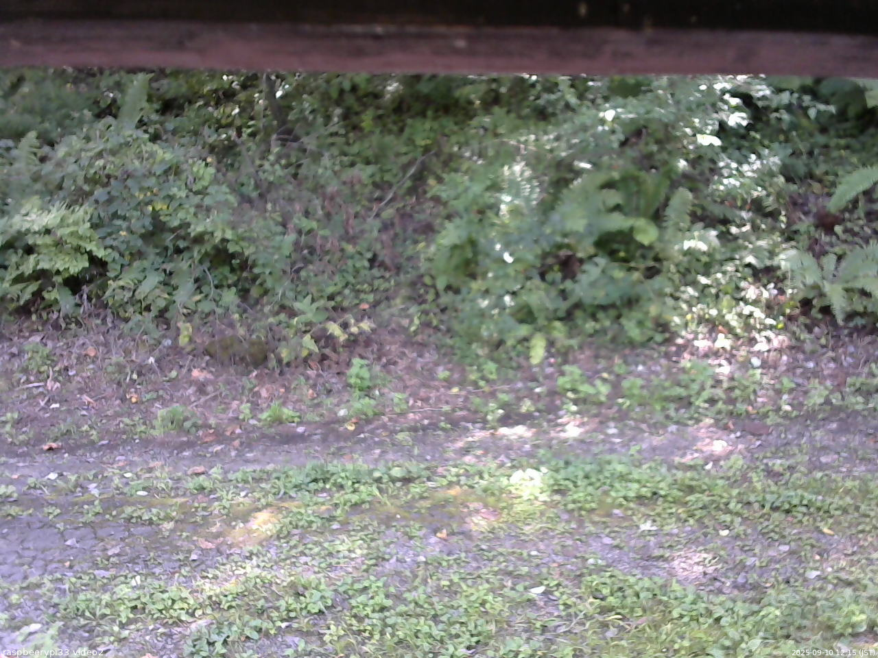 長野県菅平高原 ゆたか山荘 南側 2025/09/10 12:15