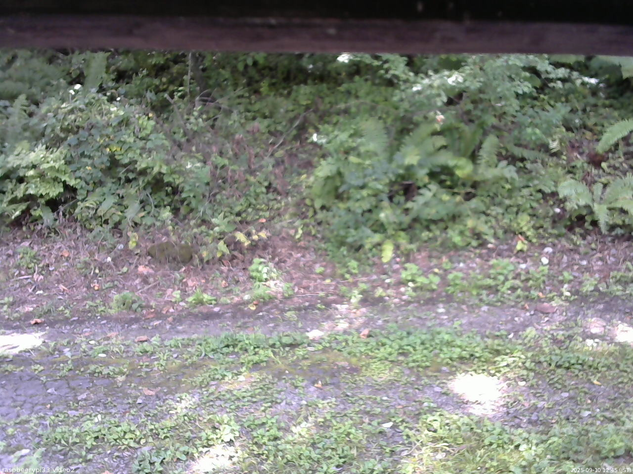 長野県菅平高原 ゆたか山荘 南側 2025/09/10 12:45