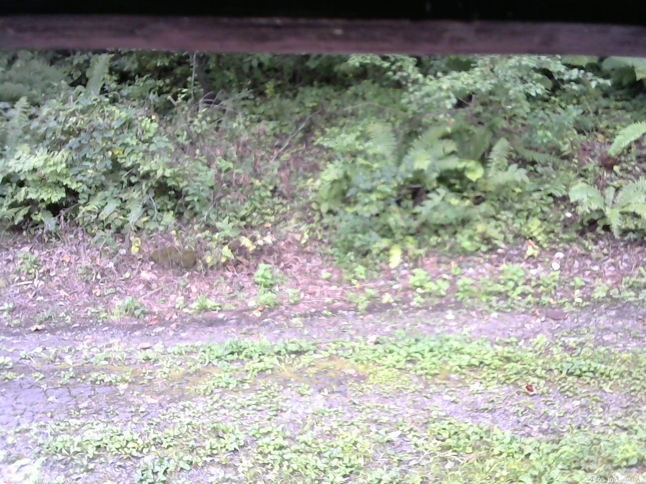長野県菅平高原 ゆたか山荘 南側 2025/09/10 13:30