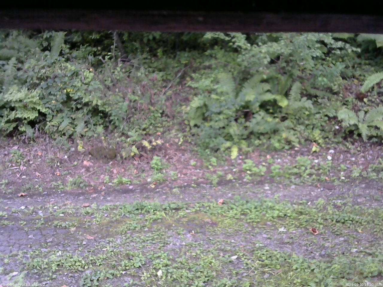 長野県菅平高原 ゆたか山荘 南側 2025/09/10 15:30