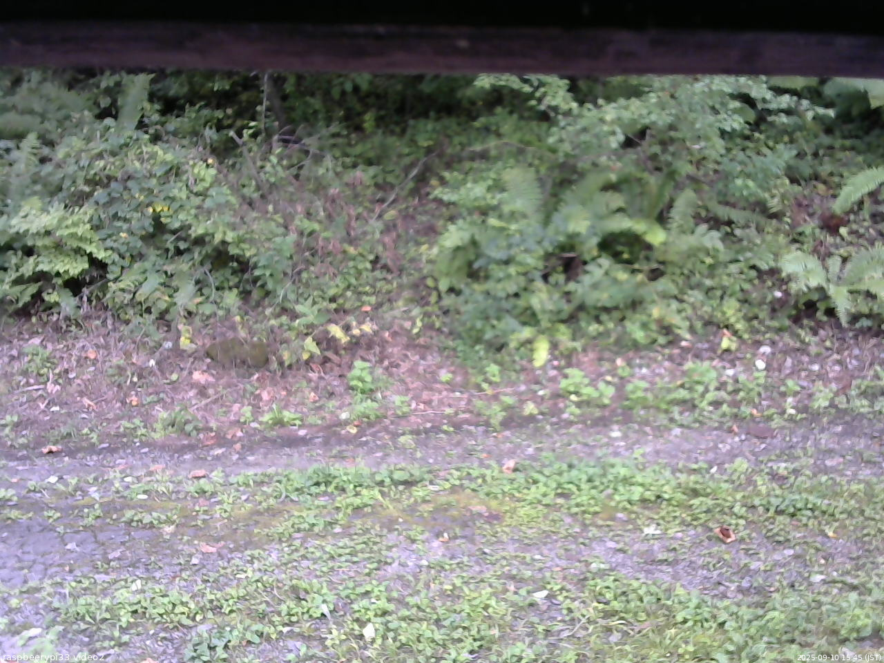 長野県菅平高原 ゆたか山荘 南側 2025/09/10 15:45