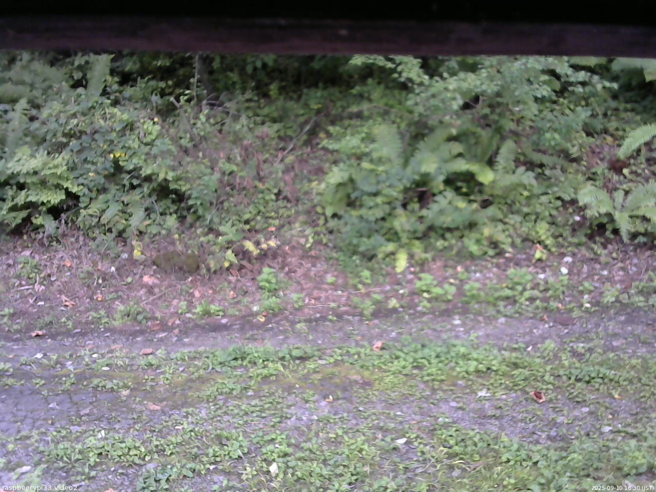 長野県菅平高原 ゆたか山荘 南側 2025/09/10 16:30