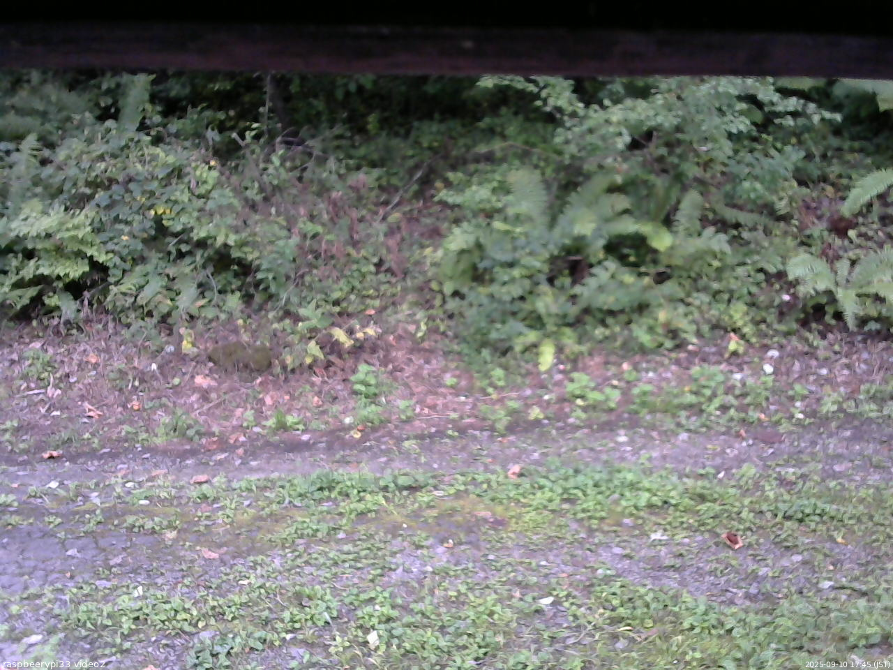長野県菅平高原 ゆたか山荘 南側 2025/09/10 17:45