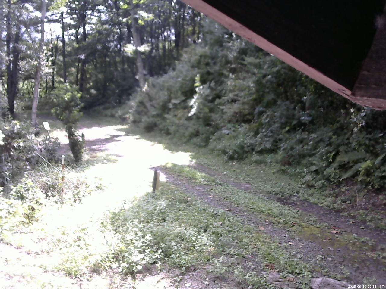 長野県菅平高原 ゆたか山荘 東側(坂下) 2025/09/10 09:15