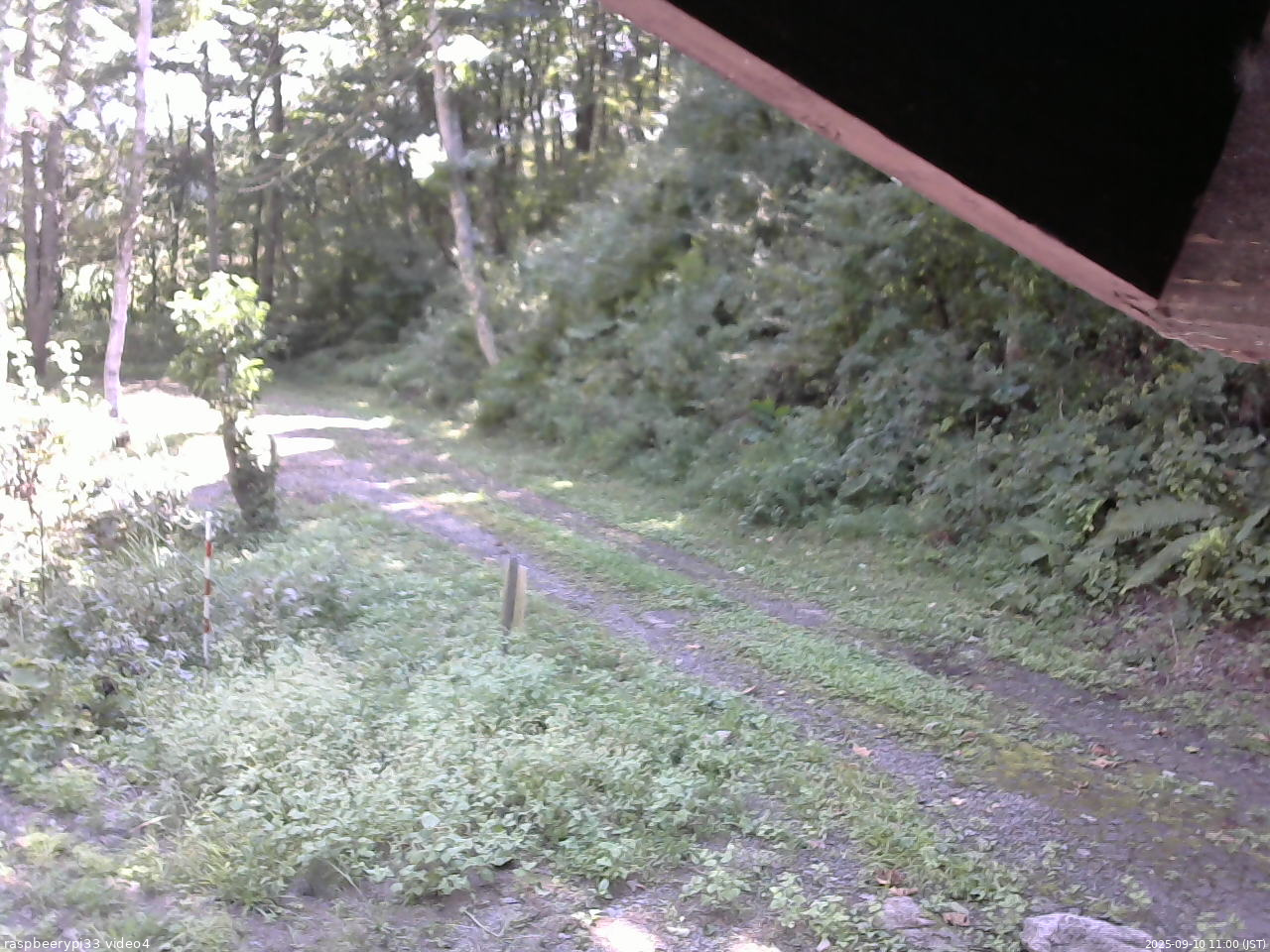 長野県菅平高原 ゆたか山荘 東側(坂下) 2025/09/10 11:00