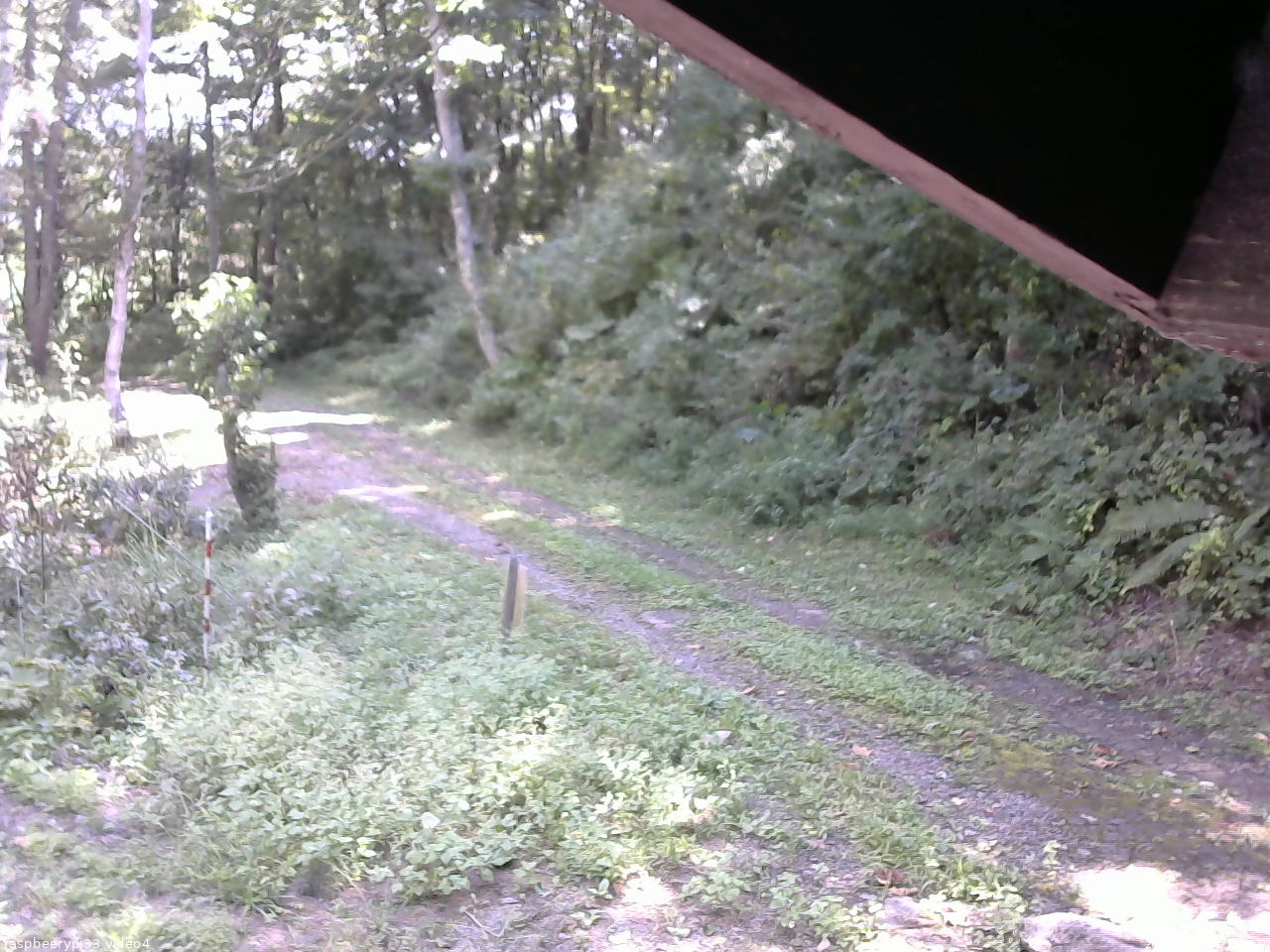 長野県菅平高原 ゆたか山荘 東側(坂下) 2025/09/10 11:15