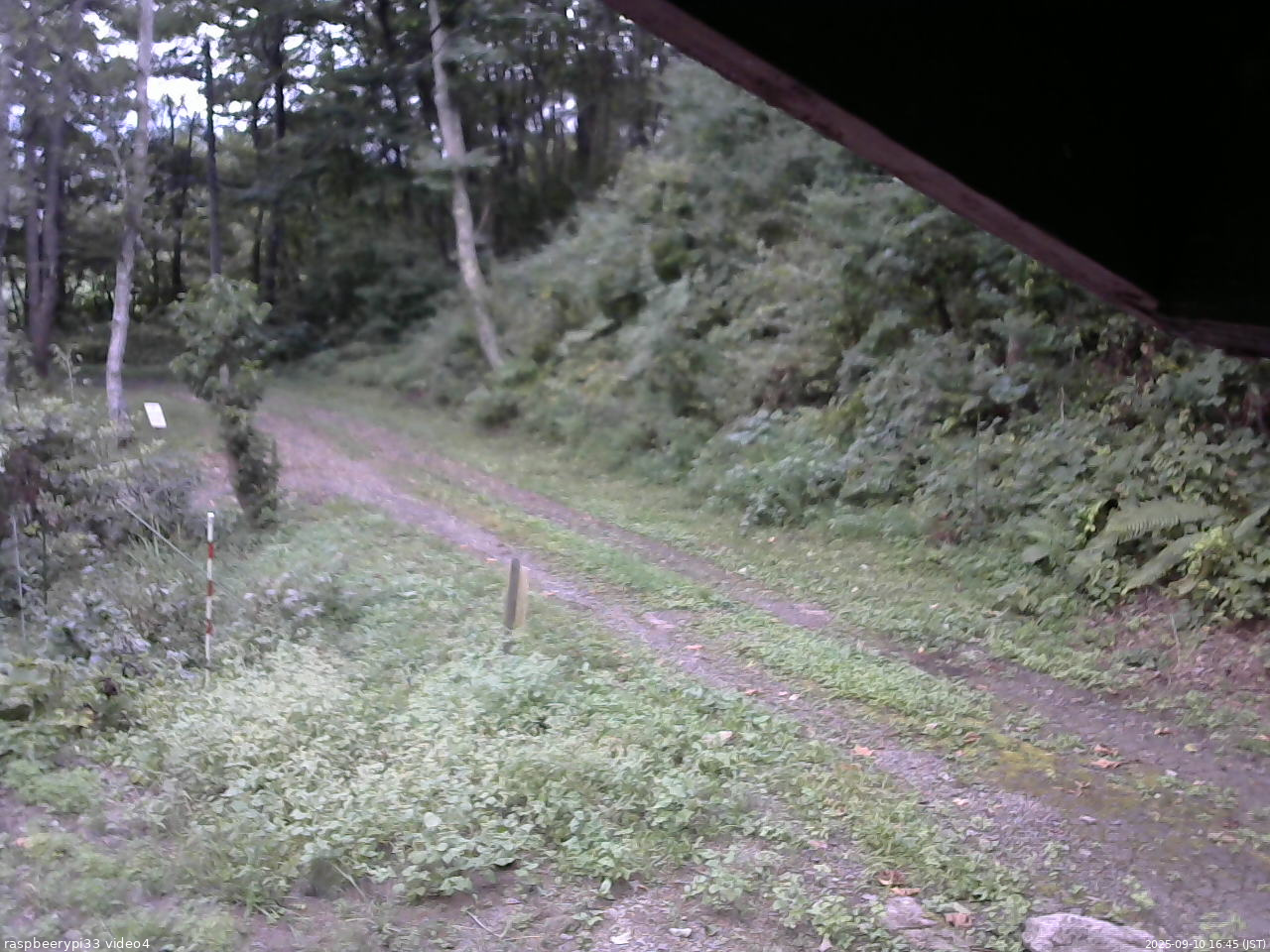 長野県菅平高原 ゆたか山荘 東側(坂下) 2025/09/10 16:45