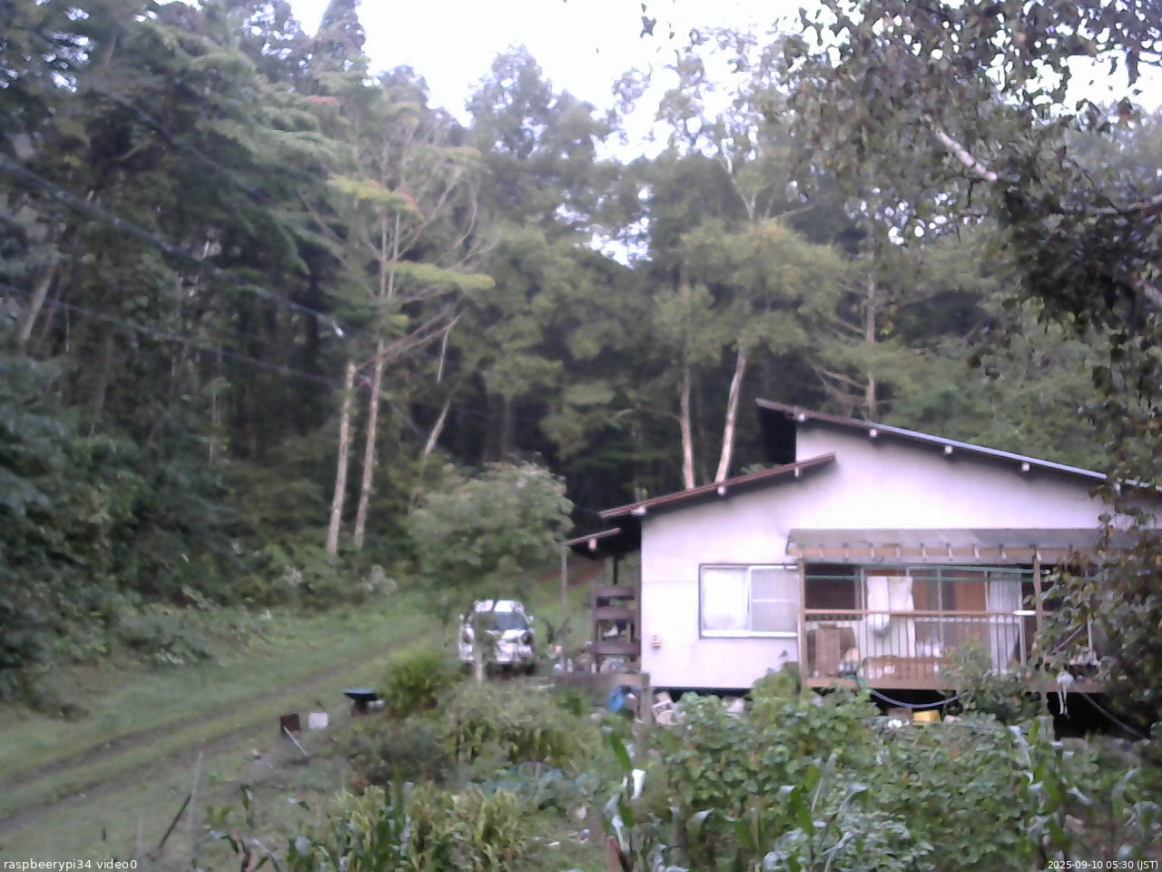長野県菅平高原 ゆたか山荘 西側(坂上) 2025/09/10 05:30