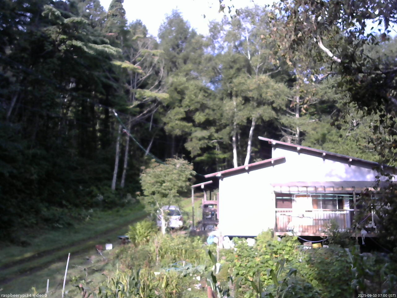長野県菅平高原 ゆたか山荘 西側(坂上) 2025/09/10 07:00