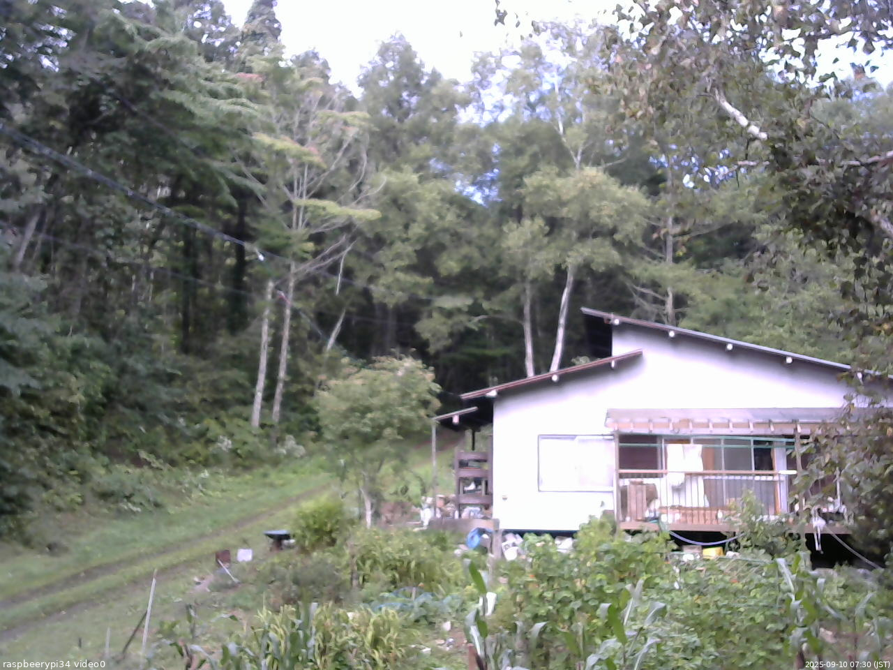 長野県菅平高原 ゆたか山荘 西側(坂上) 2025/09/10 07:30