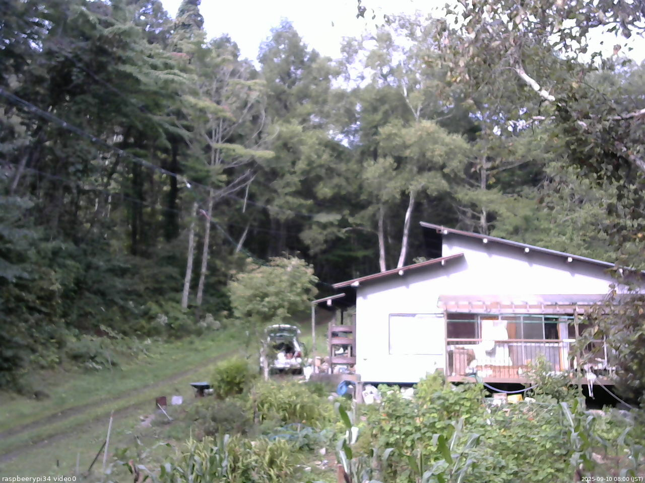 長野県菅平高原 ゆたか山荘 西側(坂上) 2025/09/10 08:00